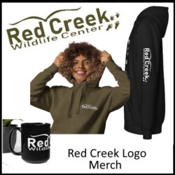 Red Creek Logo Merch
